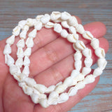 Seashell Beaded Bracelet (BEACHSIDE)